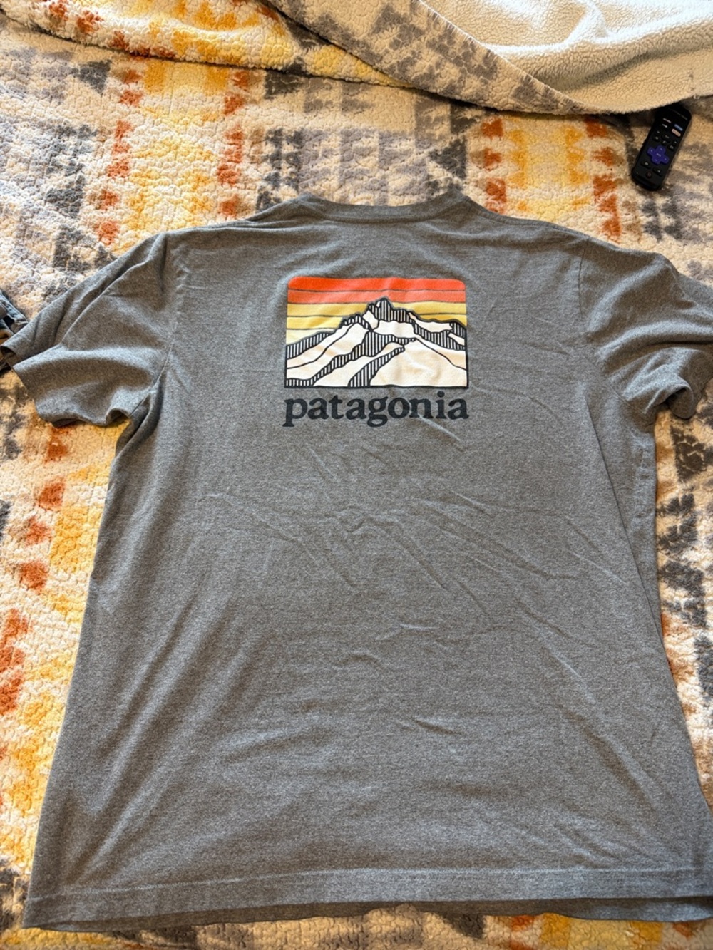 Patagonia Gray Short-Sleeve Tee with Sunset Mountain Graphic